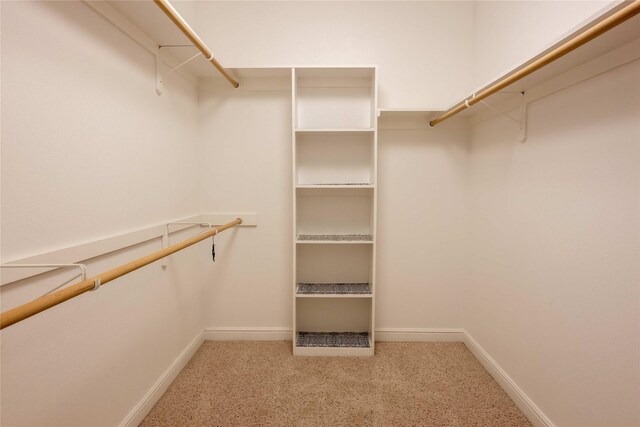 walk in closet featuring carpet