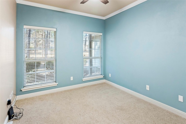 spare room featuring ceiling fan, carpet flooring, and ornamental molding