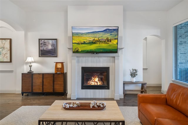 living room featuring dark hardwood / wood-style floors