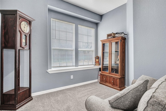 living area with carpet flooring