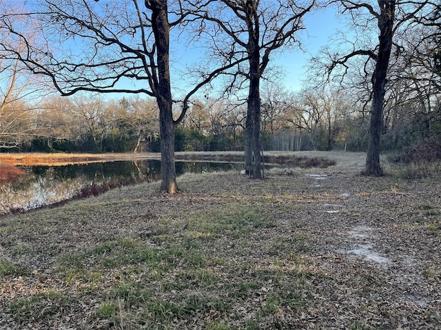 view of yard with a water view