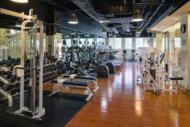 exercise room featuring wood-type flooring