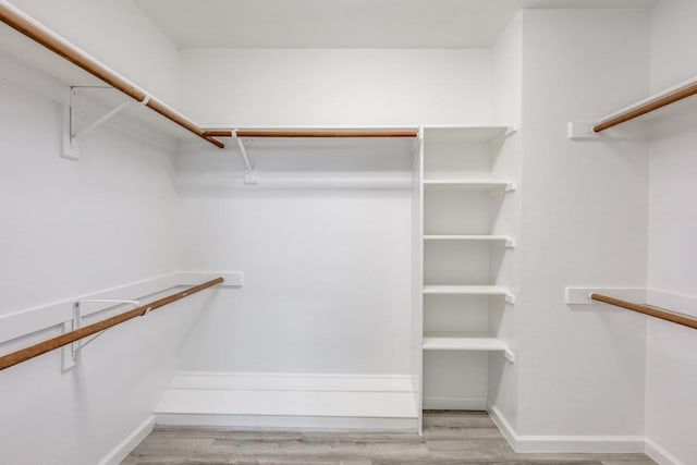 walk in closet featuring light wood-type flooring