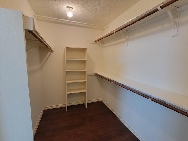 spacious closet featuring dark hardwood / wood-style floors