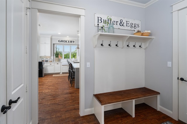 mudroom featuring ornamental molding and dark hardwood / wood-style flooring