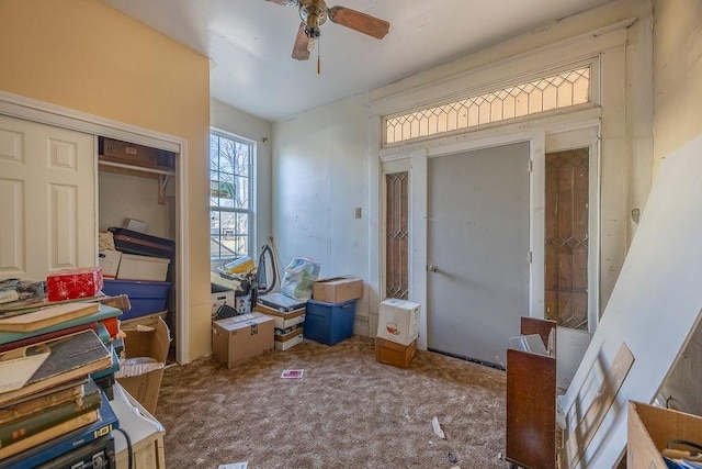 miscellaneous room with ceiling fan and carpet flooring