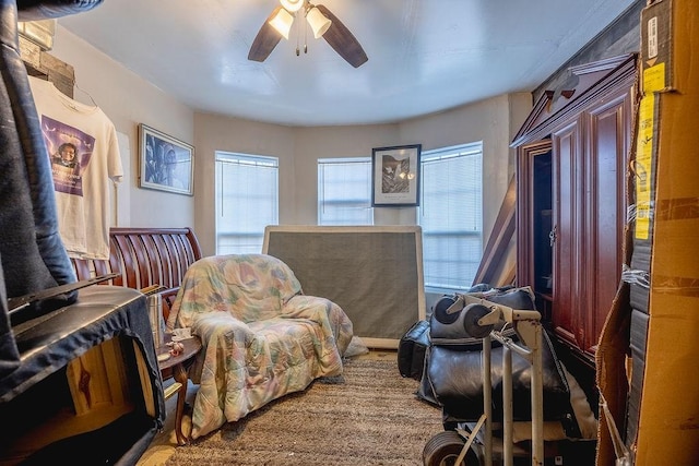 living area with ceiling fan