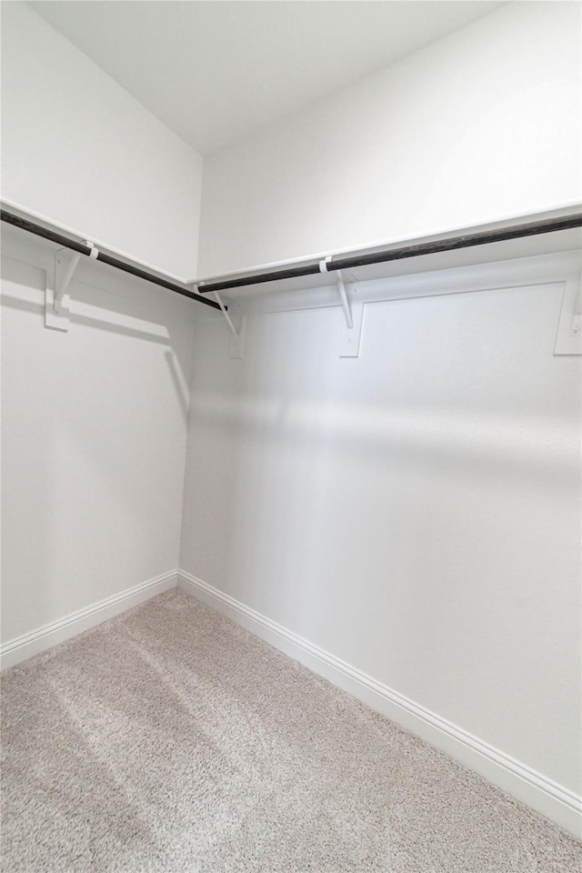 walk in closet featuring carpet