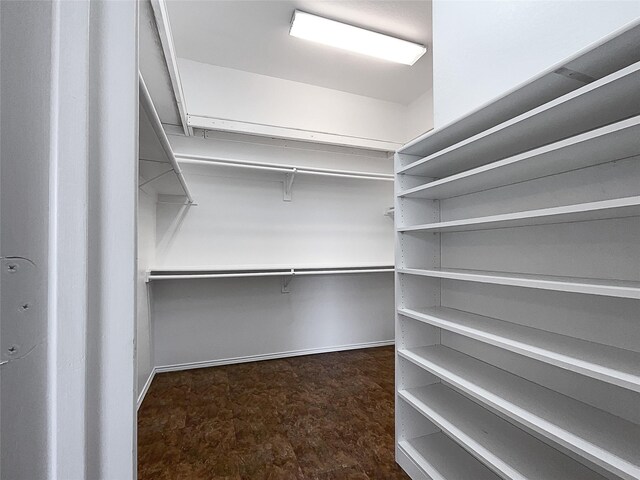 empty room with ceiling fan and dark hardwood / wood-style floors