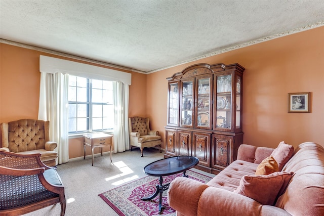 sitting room featuring light colored carpet and a textured ceiling