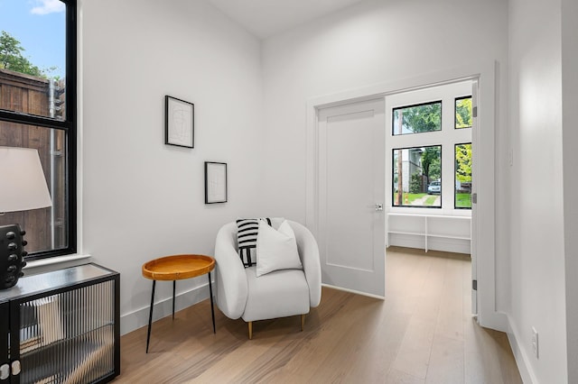 living area with light wood-type flooring