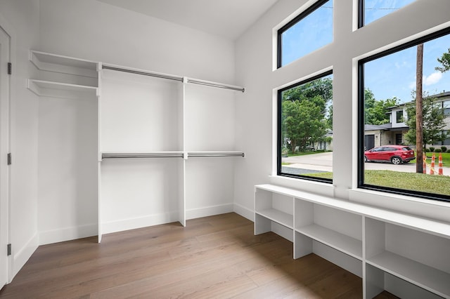 spacious closet with hardwood / wood-style flooring