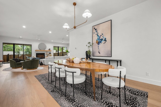 dining room featuring wood-type flooring and ceiling fan