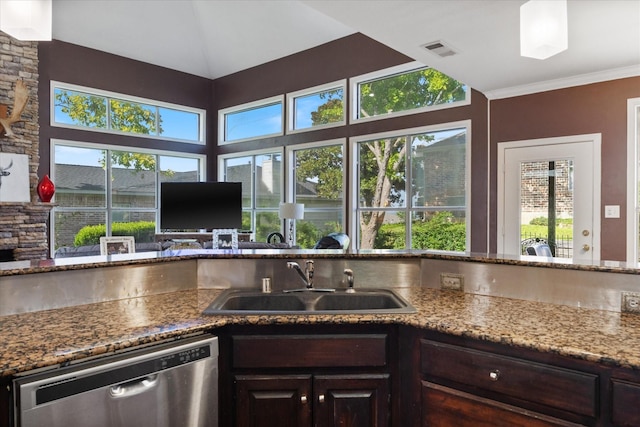 kitchen with stone counters, a healthy amount of sunlight, sink, stainless steel dishwasher, and dark brown cabinets