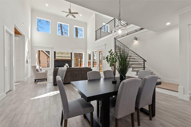 dining space with ceiling fan, ornamental molding, a high ceiling, and light wood-type flooring