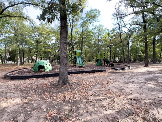 view of jungle gym