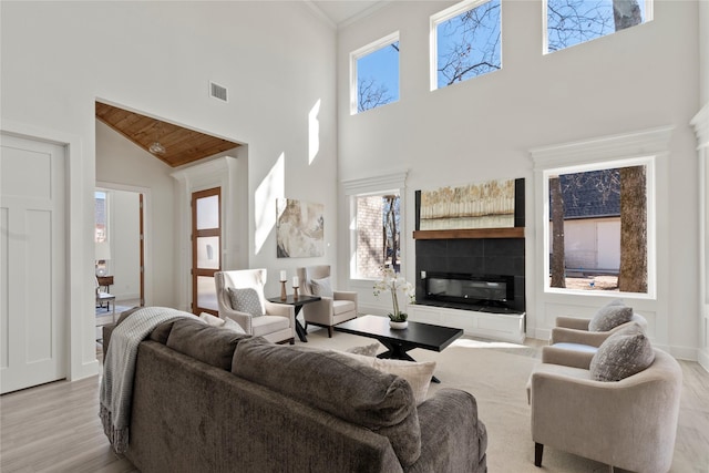 living room featuring a tiled fireplace and light wood-type flooring