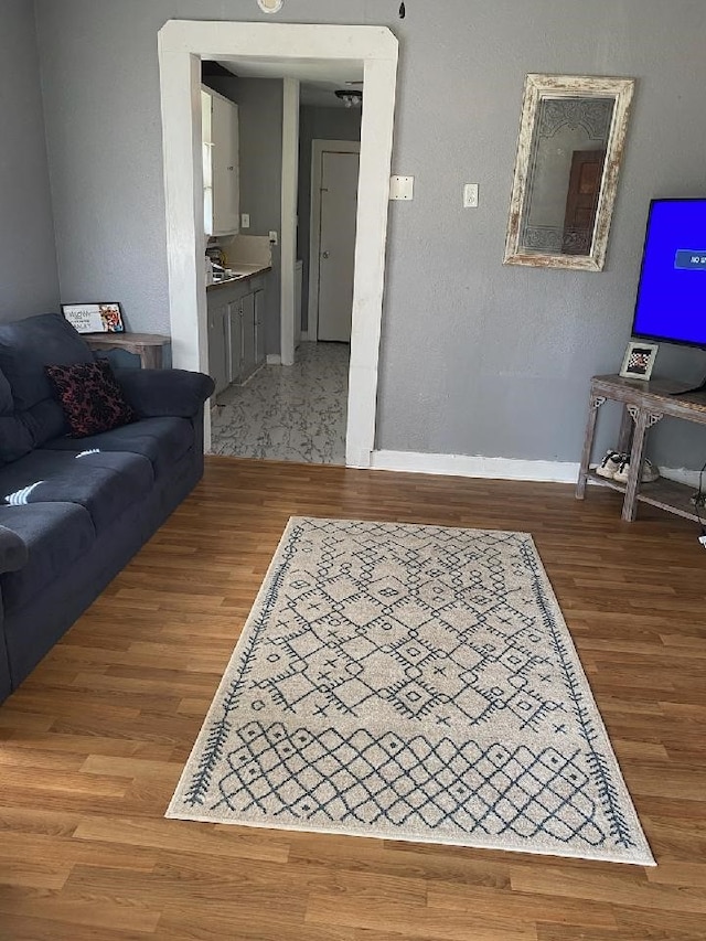 living room with wood-type flooring