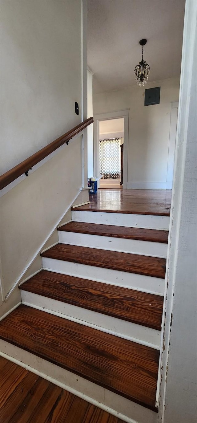 staircase with a chandelier and wood-type flooring