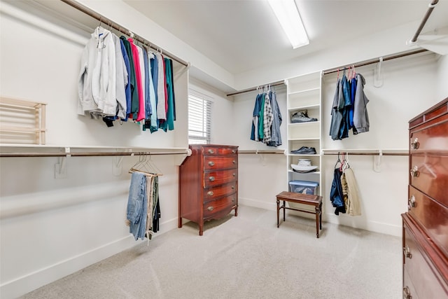 walk in closet featuring carpet flooring