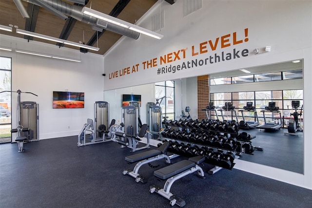 workout area featuring high vaulted ceiling and a healthy amount of sunlight