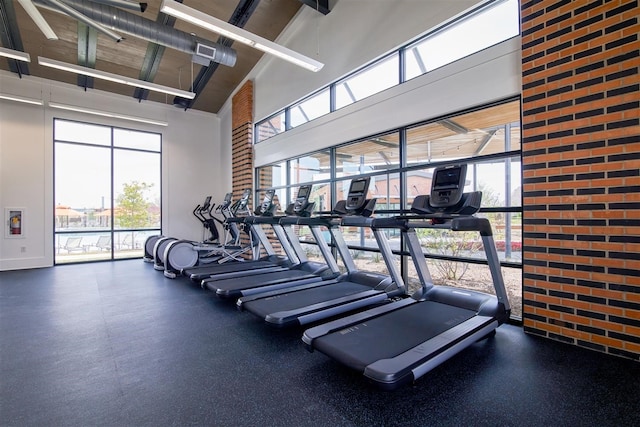 exercise room featuring a healthy amount of sunlight and a high ceiling