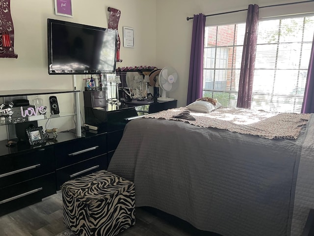 bedroom featuring dark hardwood / wood-style floors and multiple windows