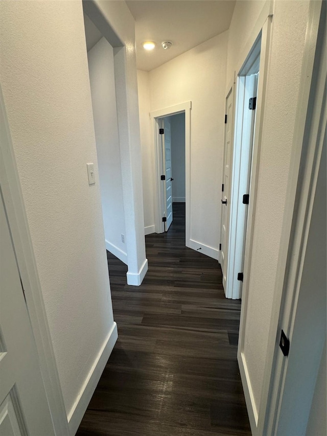 hall with dark hardwood / wood-style floors