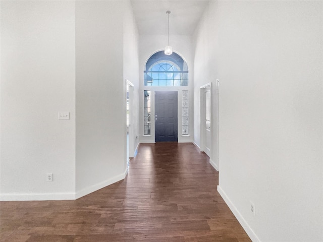 entrance foyer with a towering ceiling and dark hardwood / wood-style floors