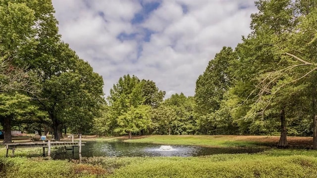 property view of water