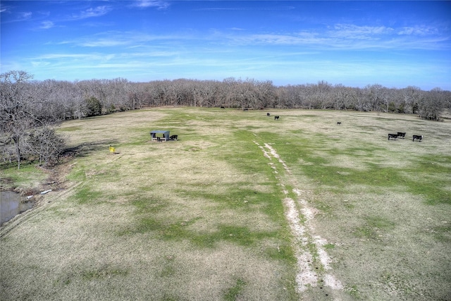 aerial view with a rural view