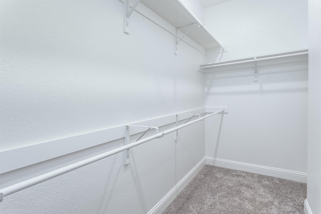 spacious closet featuring light colored carpet