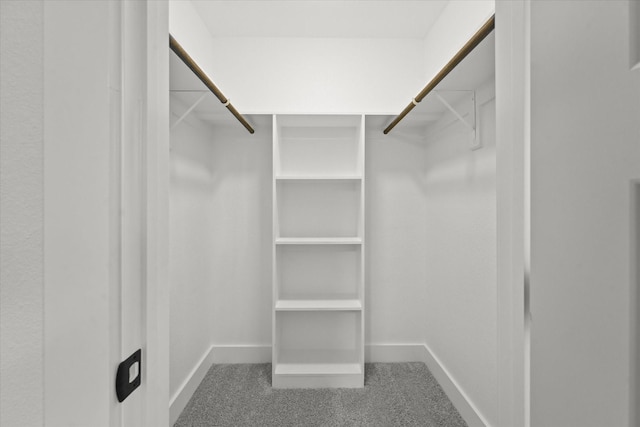 spacious closet featuring carpet floors