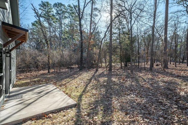 view of yard featuring a patio area