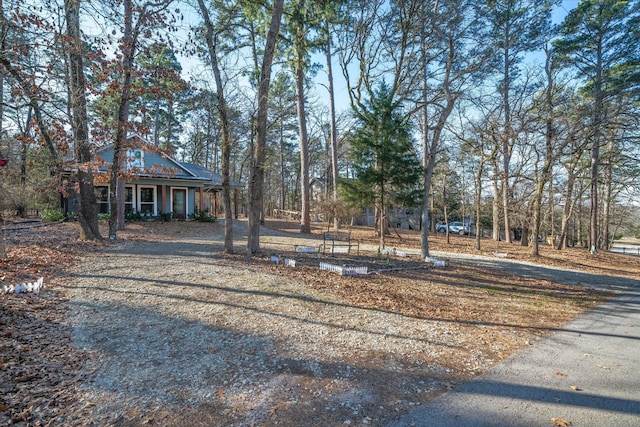 view of yard featuring a porch