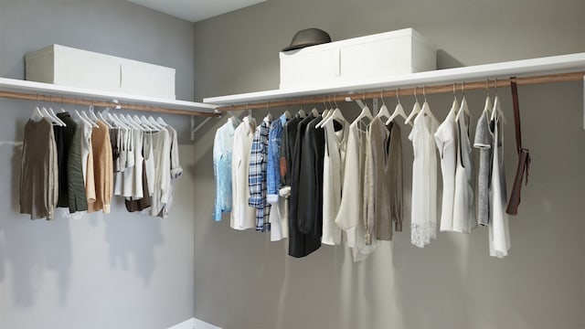 view of walk in closet