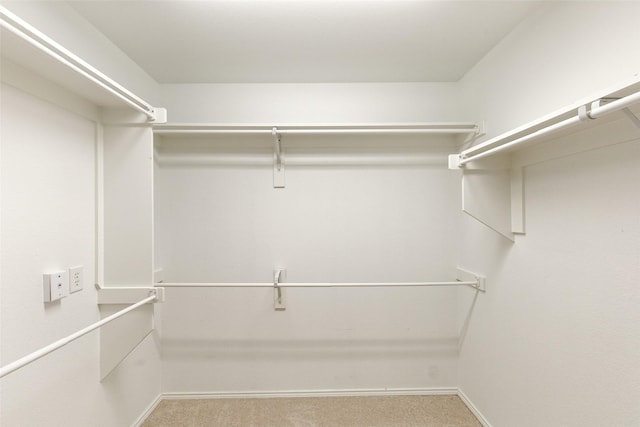 spacious closet featuring carpet flooring