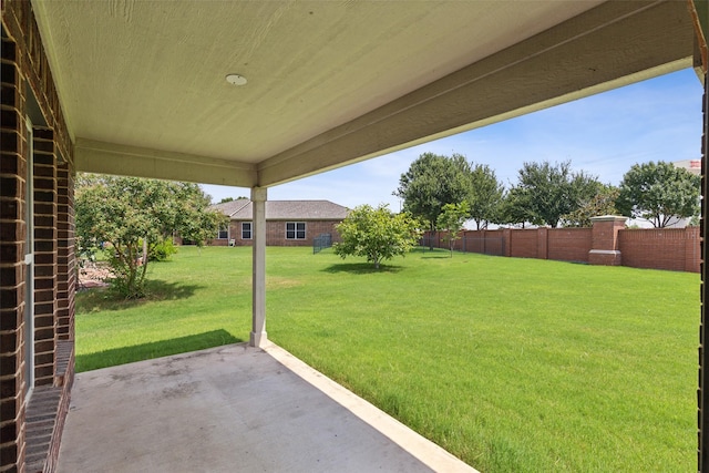 view of yard featuring a patio