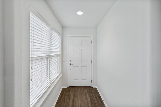 doorway to outside with a healthy amount of sunlight and dark wood-type flooring