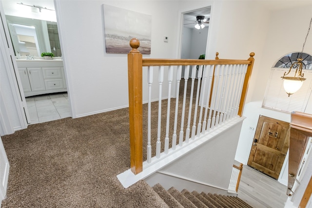 staircase with sink and carpet floors