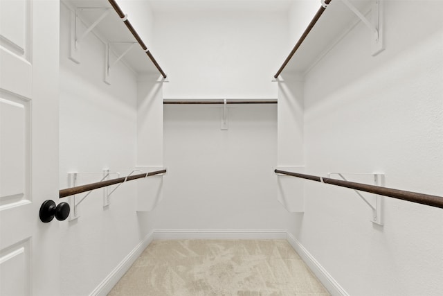 spacious closet with light colored carpet