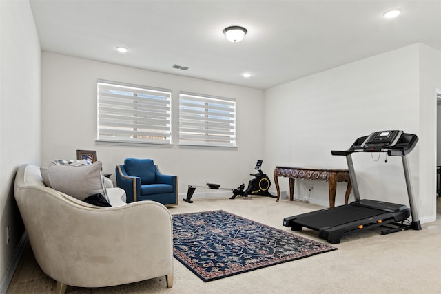 exercise area featuring carpet