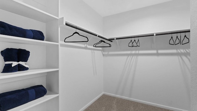 walk in closet featuring carpet floors