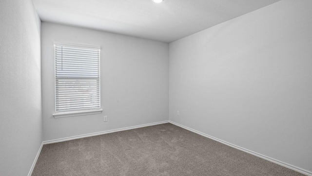 carpeted spare room with a wealth of natural light