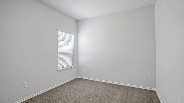 unfurnished room featuring carpet floors