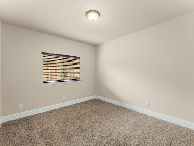 spare room with carpet floors