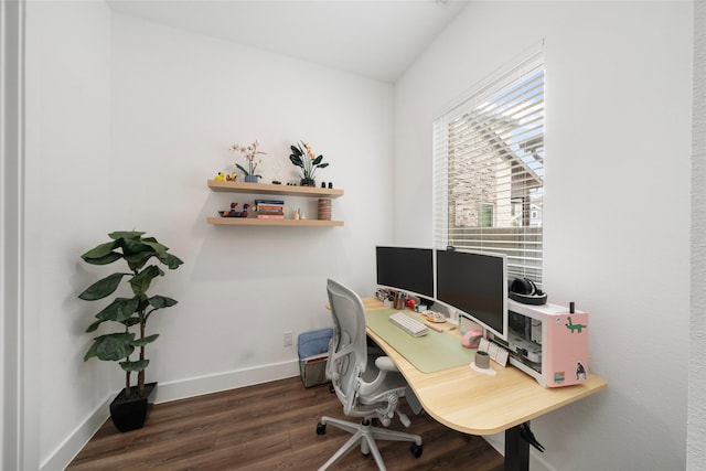 office featuring dark hardwood / wood-style flooring