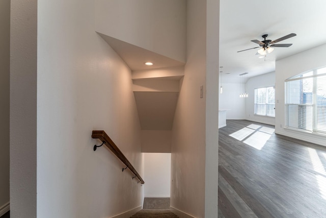 staircase with wood-type flooring and ceiling fan