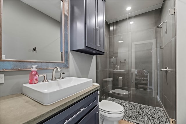 bathroom with vanity, toilet, and walk in shower