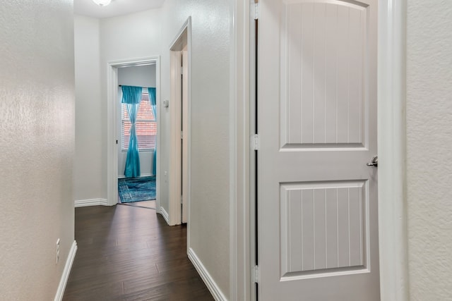 hall featuring dark wood-type flooring